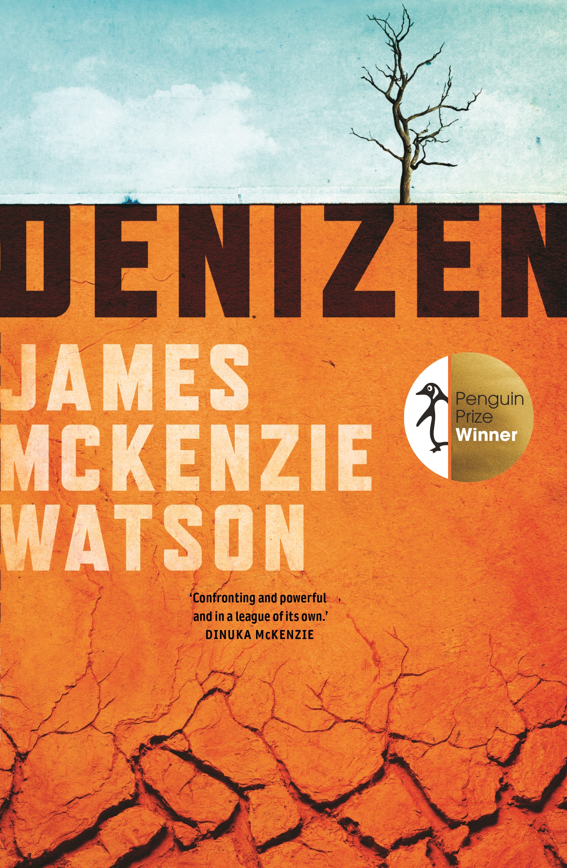 Denizen by James McKenzie Watson