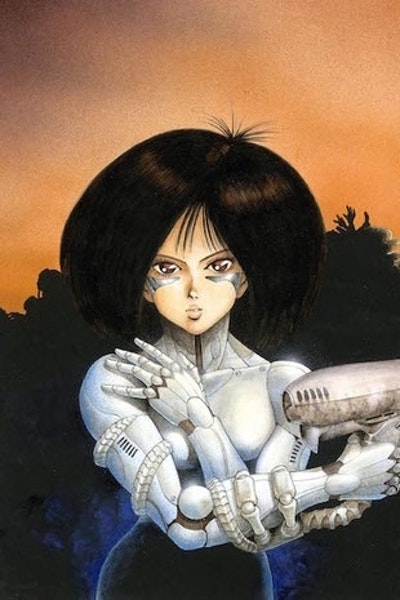 Battle Angel Alita Deluxe Complete Series Box Set by Yukito